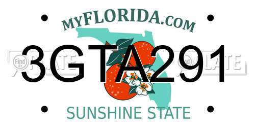 3GTA291 Florida License Plate