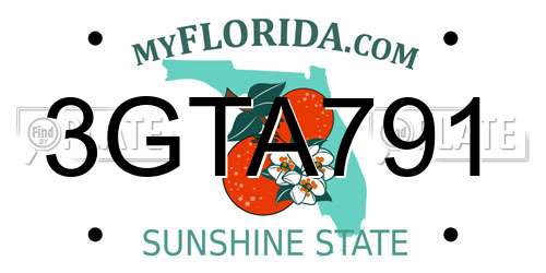 3GTA791 Florida License Plate
