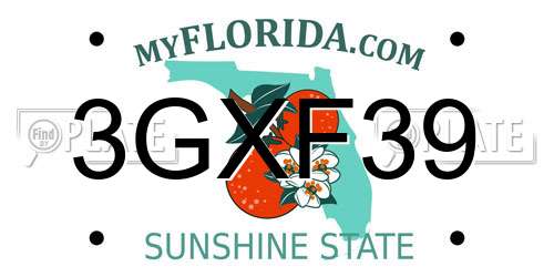 3GXF39 Florida License Plate