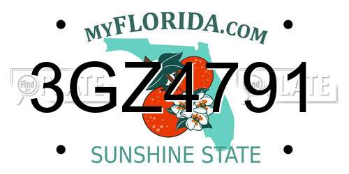 3GZ4791 Florida License Plate