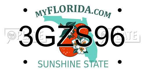 3GZS96 Florida License Plate