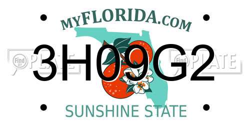 3H09G2 Florida License Plate