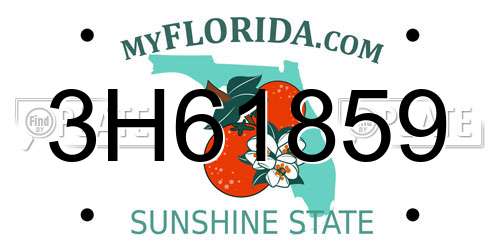 3H61859 Florida License Plate