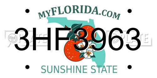 3HF3963 Florida License Plate