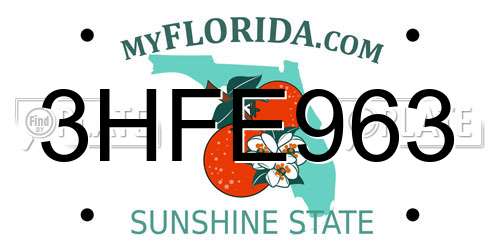 3HFE963 Florida License Plate