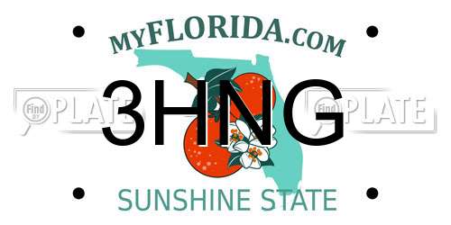 3HNG Florida License Plate