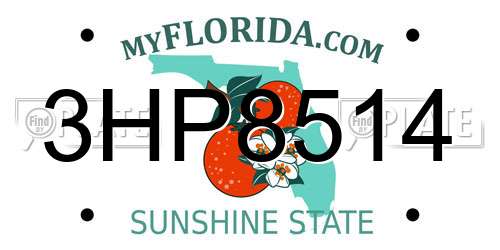 3HP8514 Florida License Plate