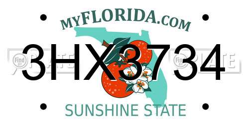 3HX3734 Florida License Plate