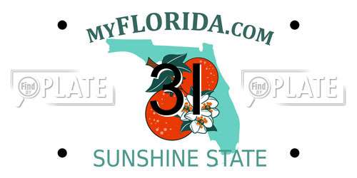 3I Florida License Plate