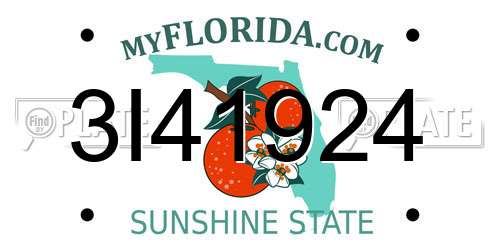 3I41924 Florida License Plate
