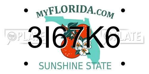 3I67K6 Florida License Plate