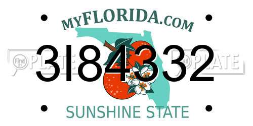 3I84332 Florida License Plate