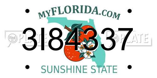 3I84337 Florida License Plate