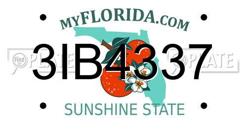 3IB4337 Florida License Plate