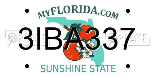 3IBA337 Florida License Plate