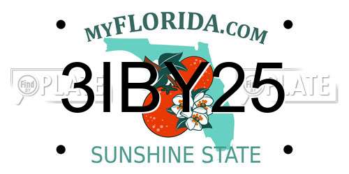 3IBY25 Florida License Plate
