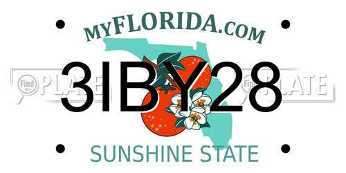 3IBY28 Florida License Plate