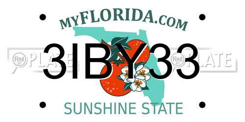 3IBY33 Florida License Plate