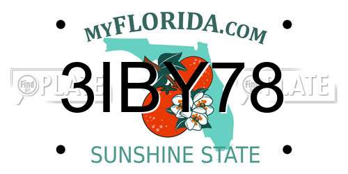 3IBY78 Florida License Plate