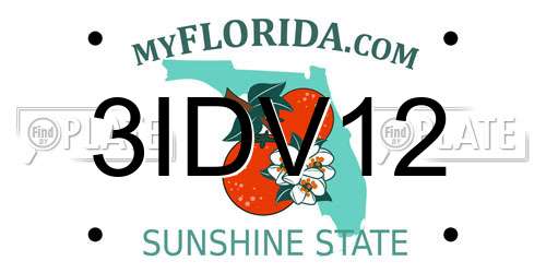 3IDV12 Florida License Plate