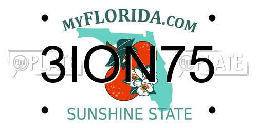 3ION75 Florida License Plate