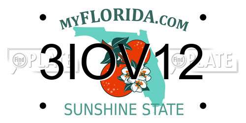 3IOV12 Florida License Plate