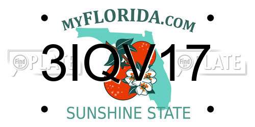3IQV17 Florida License Plate