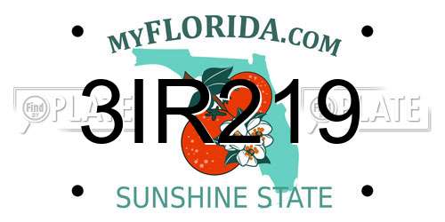 3IR219 Florida License Plate