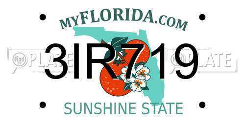 3IR719 Florida License Plate