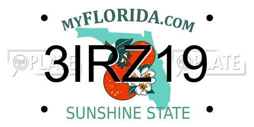 3IRZ19 Florida License Plate