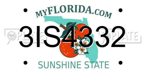 3IS4332 Florida License Plate
