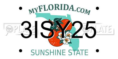 3ISY25 Florida License Plate