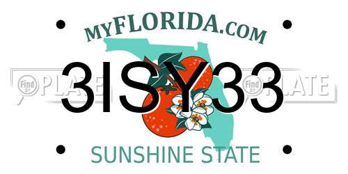 3ISY33 Florida License Plate