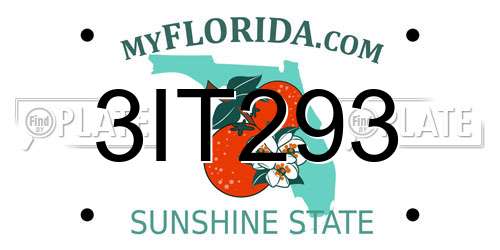 3IT293 Florida License Plate