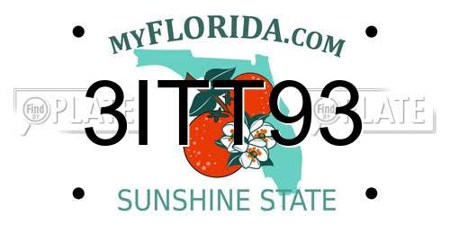 3ITT93 Florida License Plate
