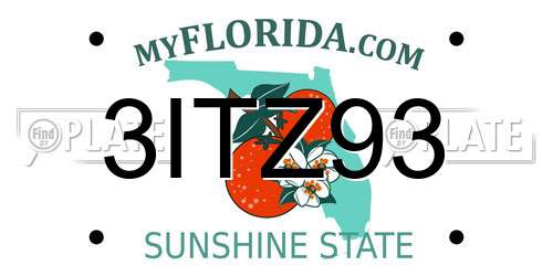 3ITZ93 Florida License Plate