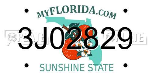 3J02829 Florida License Plate