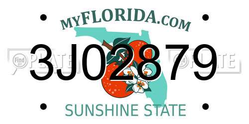 3J02879 Florida License Plate