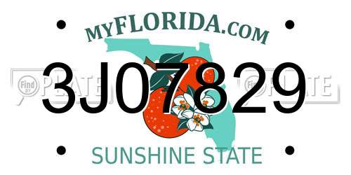 3J07829 Florida License Plate