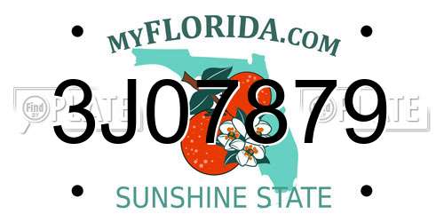 3J07879 Florida License Plate