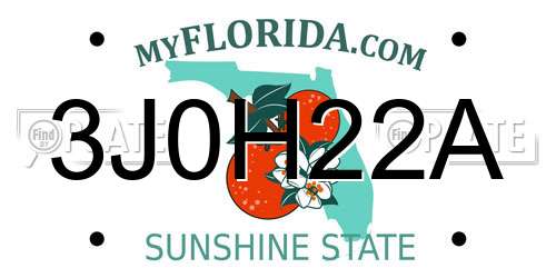 3J0H22A Florida License Plate
