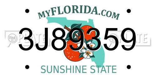 3J89359 Florida License Plate