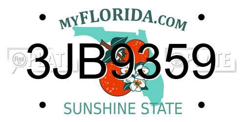 3JB9359 Florida License Plate