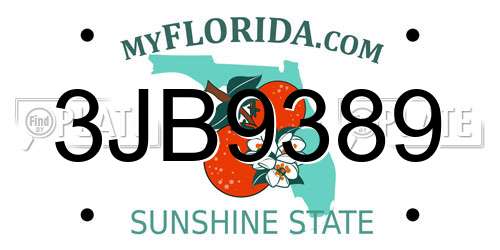 3JB9389 Florida License Plate