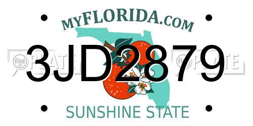 3JD2879 Florida License Plate
