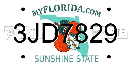 3JD7829 Florida License Plate