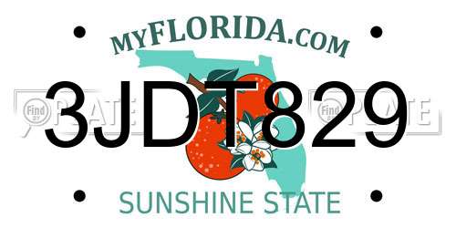 3JDT829 Florida License Plate