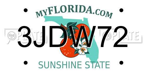 3JDW72 Florida License Plate