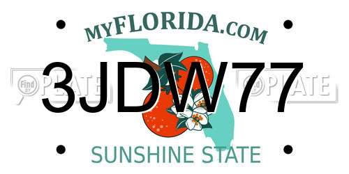 3JDW77 Florida License Plate