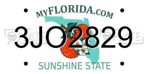 3JO2829 Florida License Plate